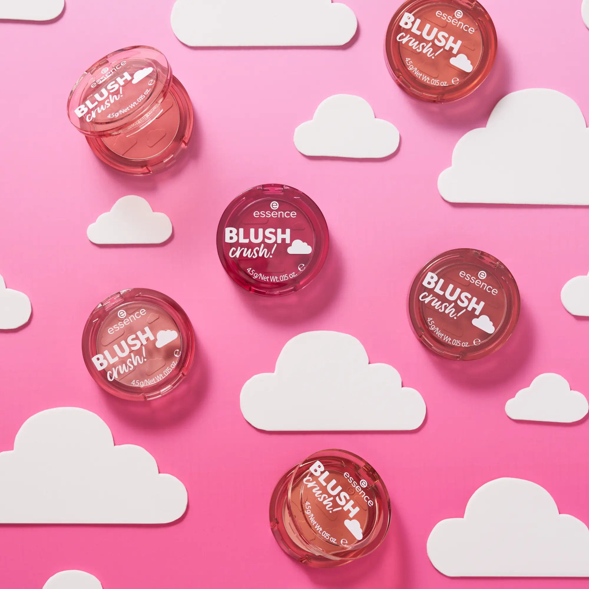 Blush Crush! 130 Sweet Hibiscus - Image 6