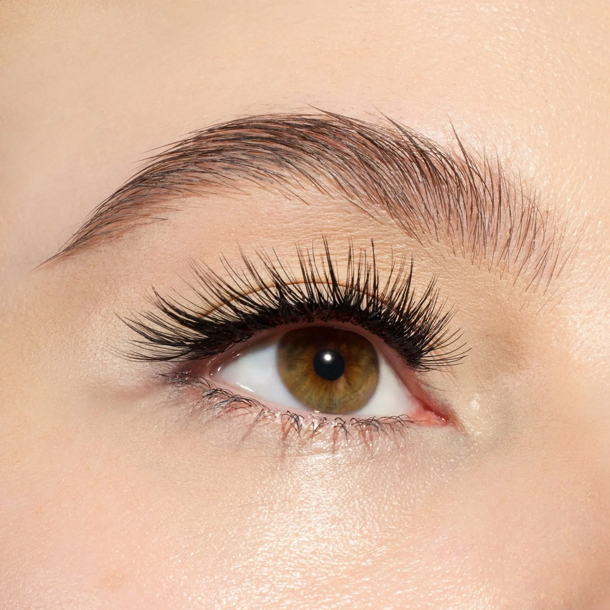 Cateyes! False Lashes 01 Catwalk - Image 6