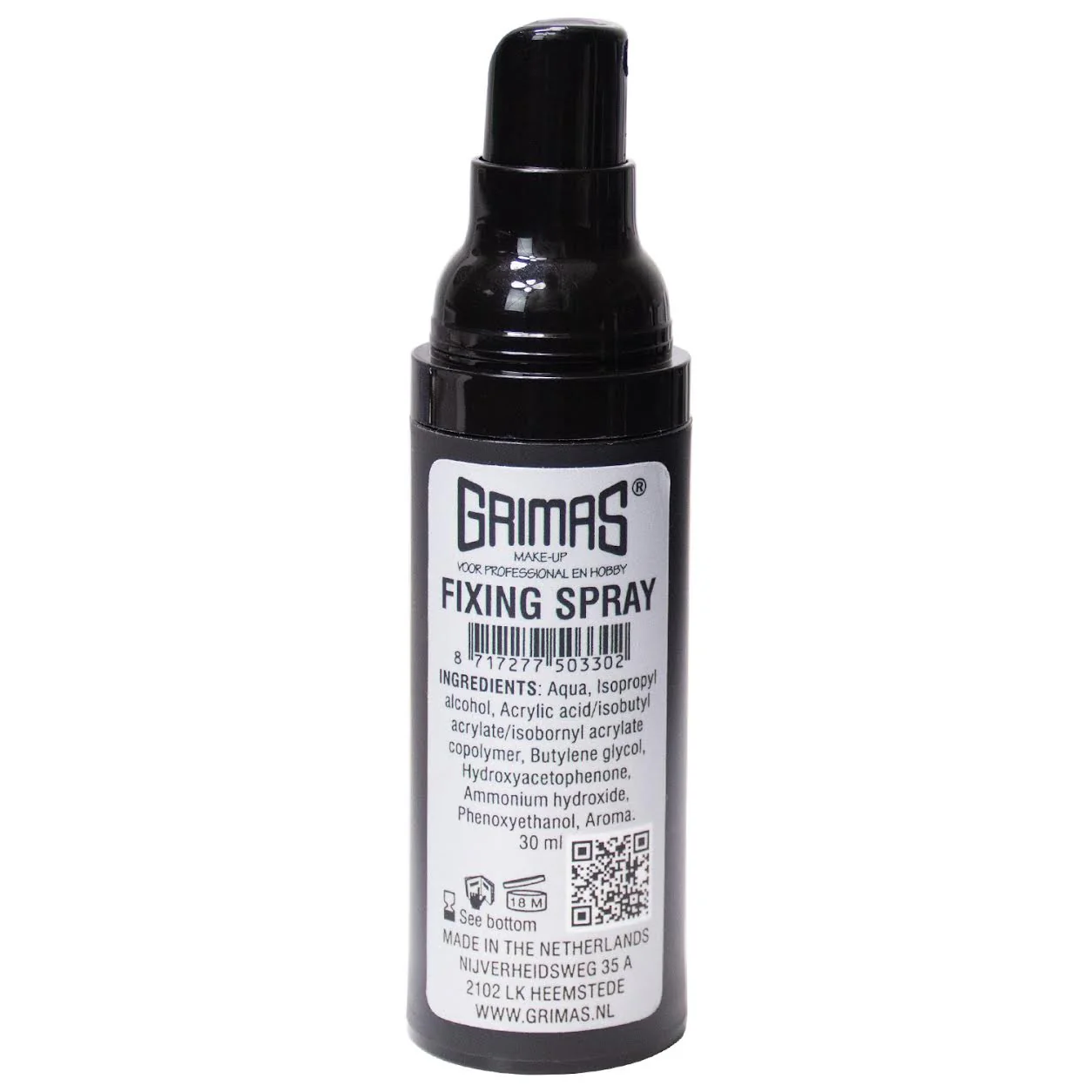 Fixing Spray