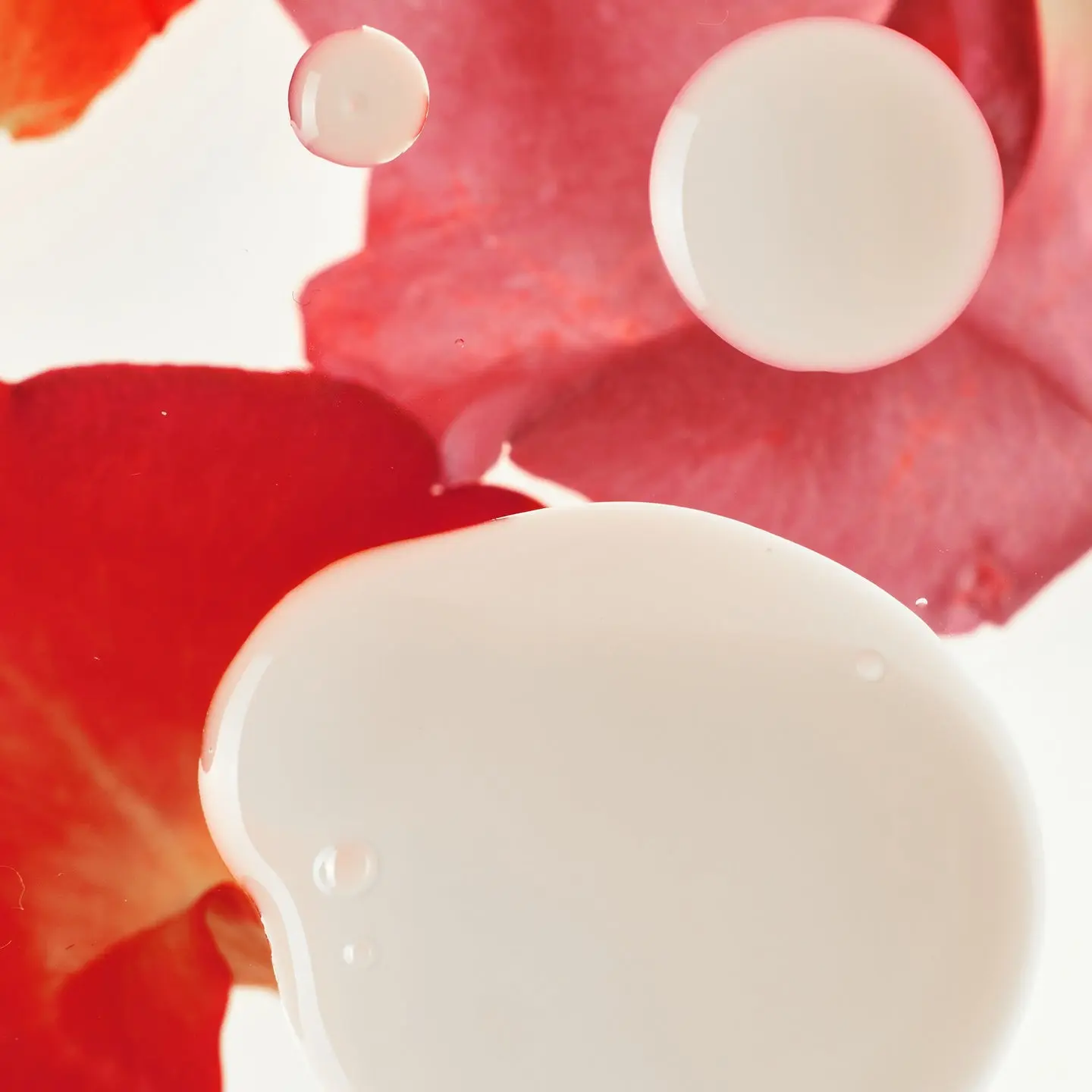 Rose PDRN Soothing Serum - Image 2
