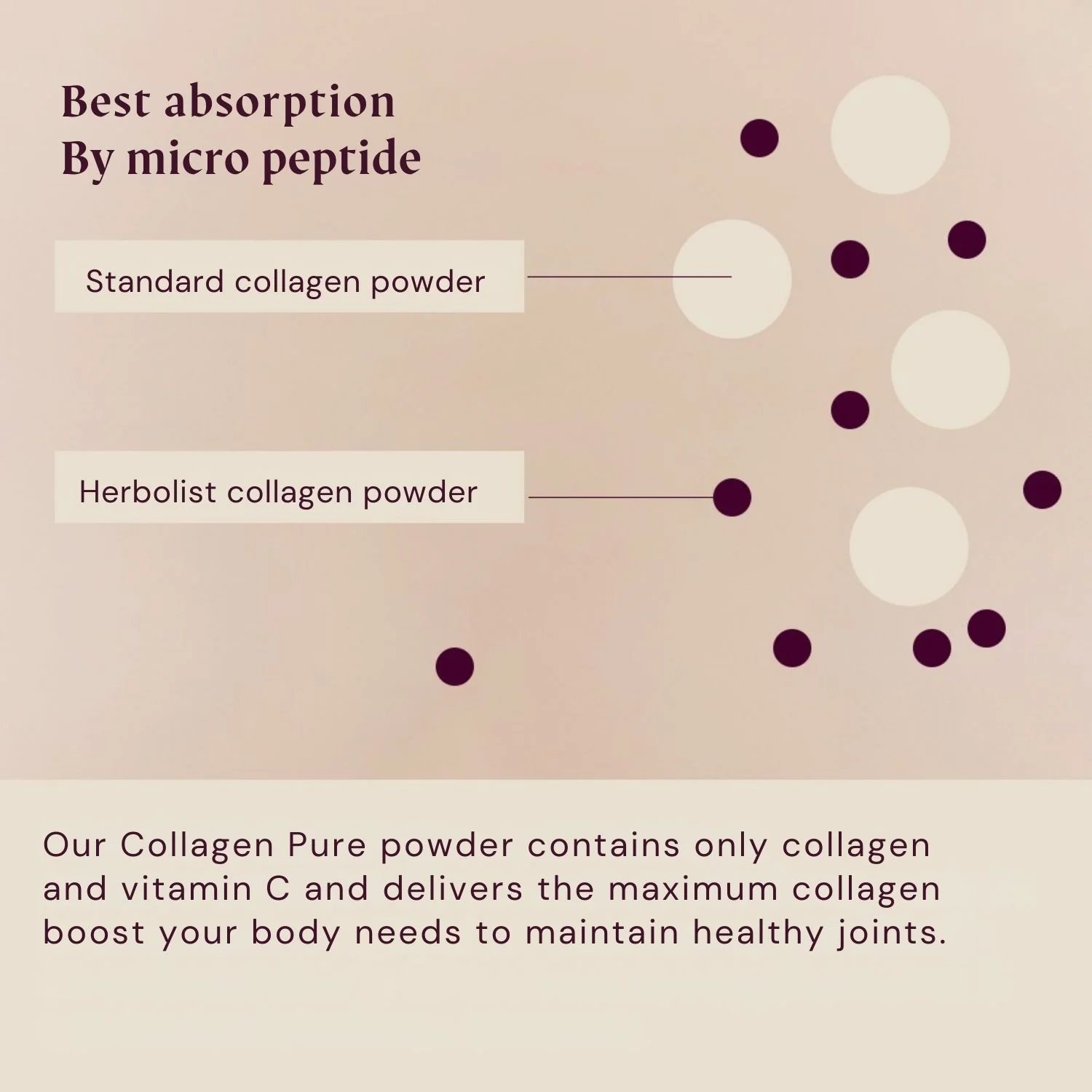 Collagen Powder Pure - Image 9