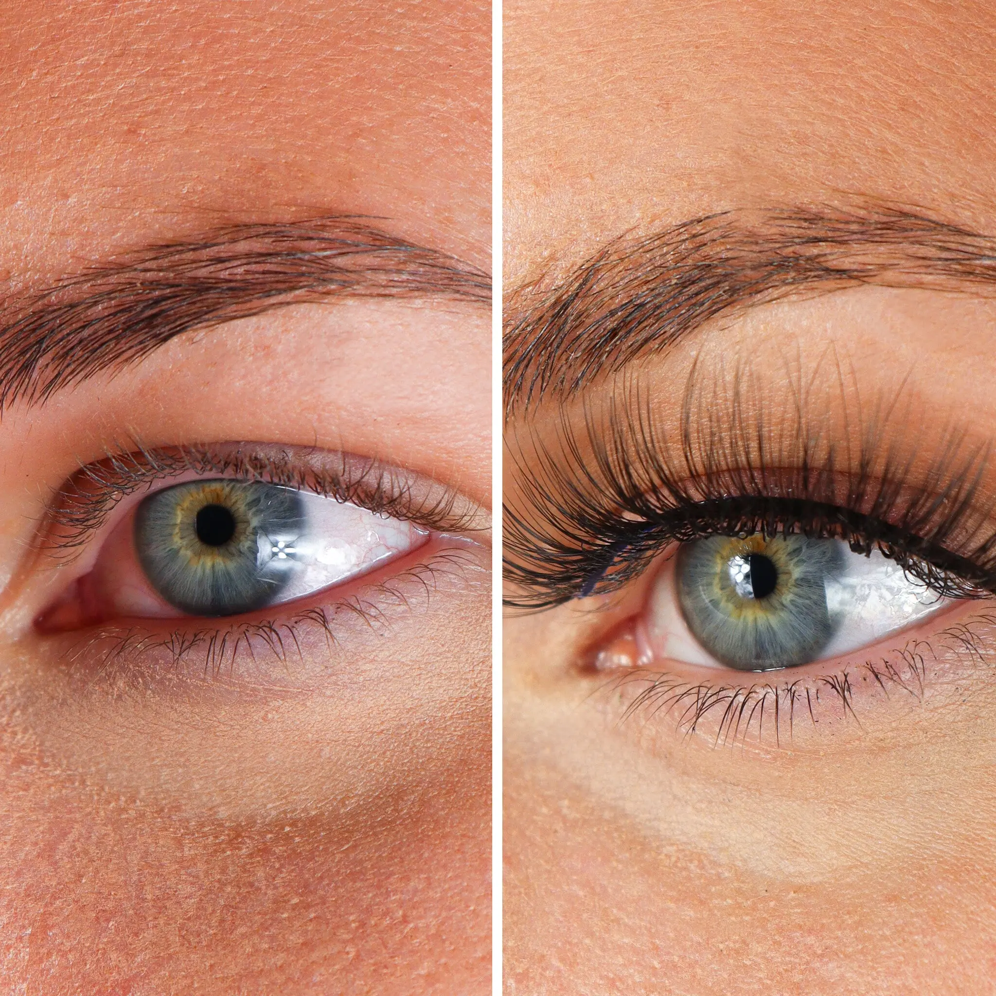 Lashes Armanda - Image 3