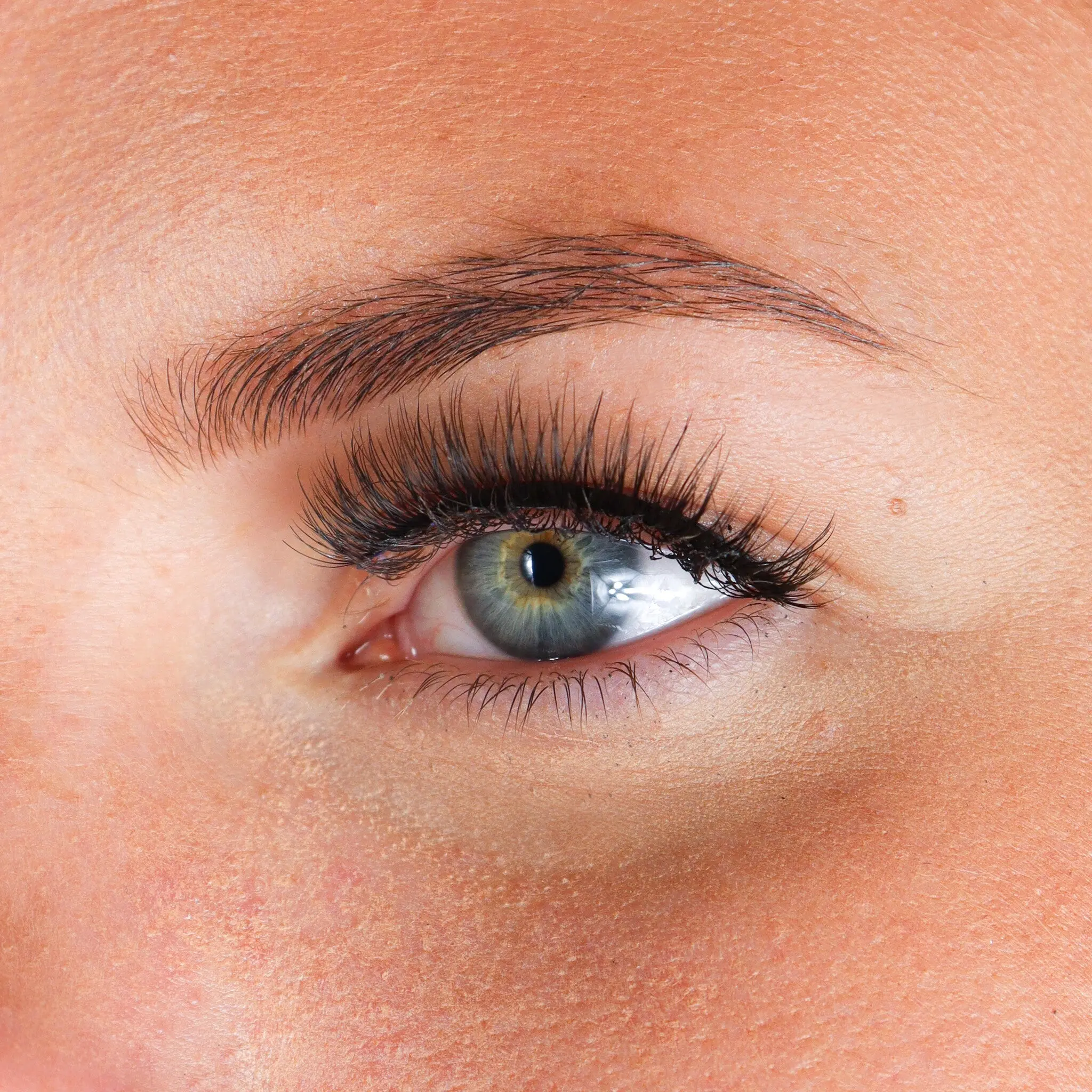 Lashes Bibi - Image 2