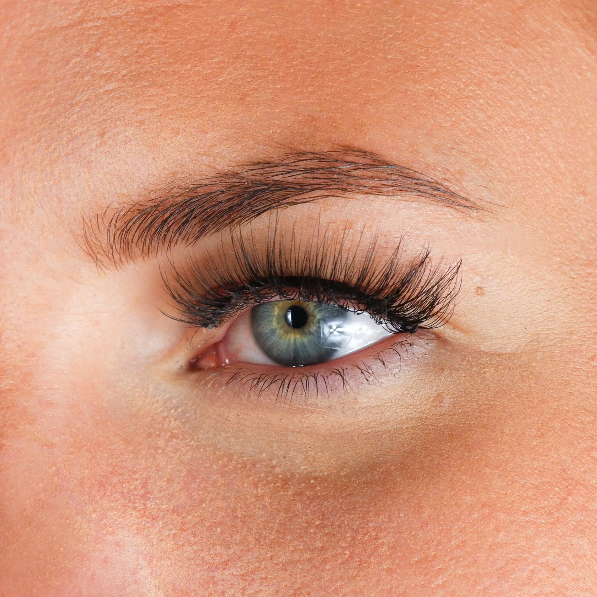 Lashes Inge - Image 2