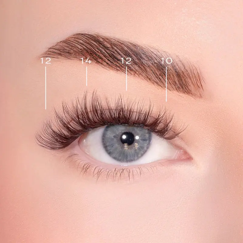 Bold Definition Dark Brown Pre-Glued Lashes - Image 2