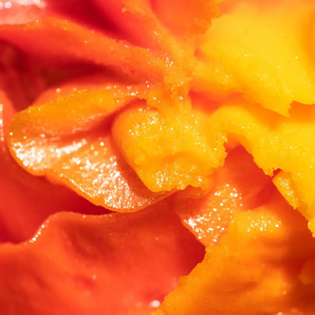Tropical Shave Butter - Image 3